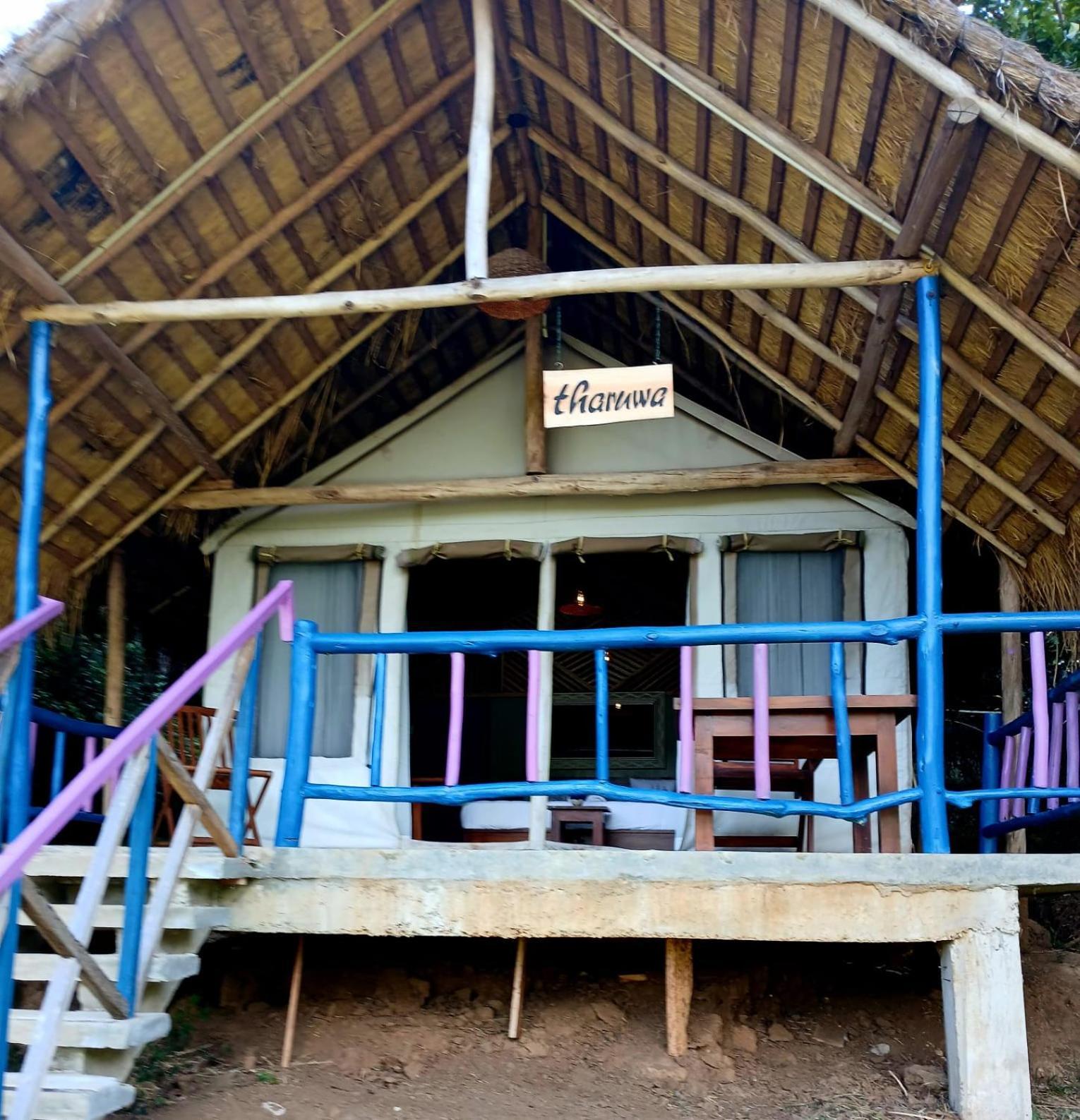 Ella Jungle Resort Quarto foto