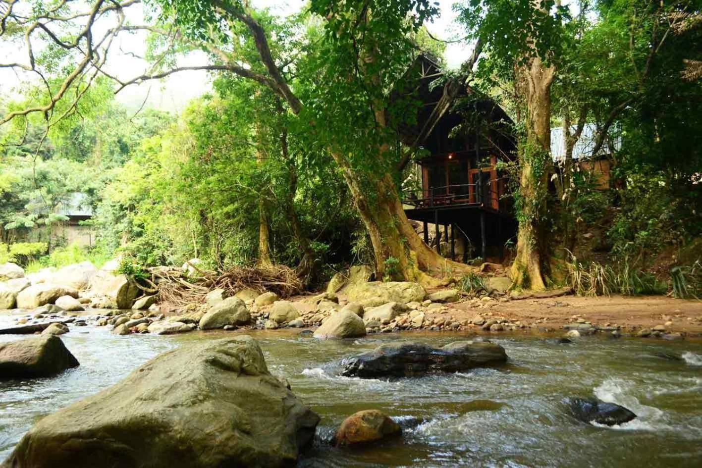 Ella Jungle Resort Quarto foto